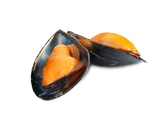 Image showing Some mussels just cooked