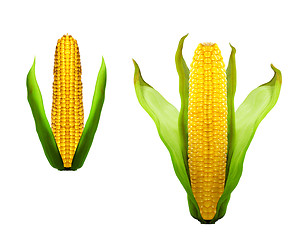 Image showing two of head  corn