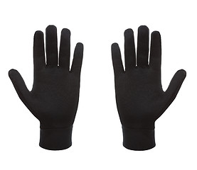 Image showing black polar gloves isolated