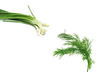 Image showing Fresh dill with spring onions