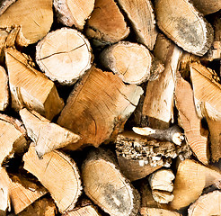 Image showing Pile of wooden logs background