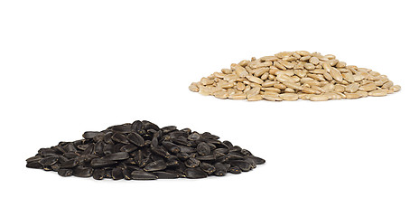 Image showing piles of sunflower seeds isolated