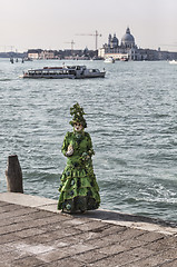 Image showing Green Venetian Costume