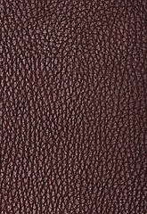 Image showing Natural qualitative brown leather texture