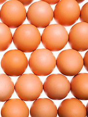 Image showing eggs background