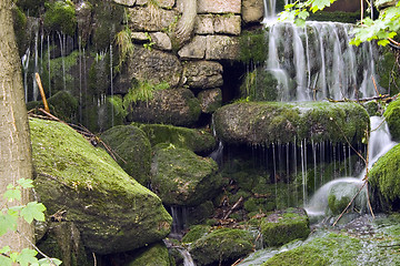 Image showing Stream in the Green