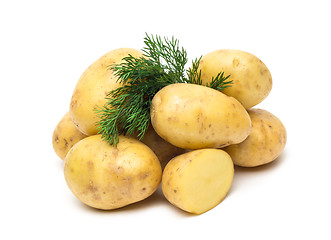 Image showing potato isolated on white background close up