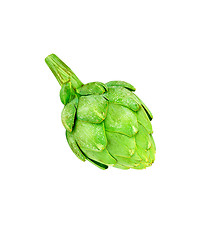 Image showing Ripe green artichoke vegetable isolated