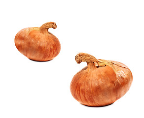 Image showing Ripe onions isolated