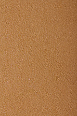 Image showing Skin texture background