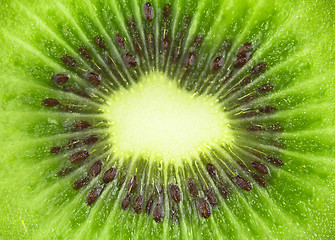 Image showing kiwi background