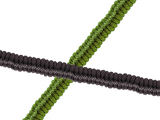 Image showing close up of a ropes on white background