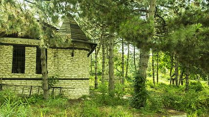 Image showing Old Medieval Castle in nature