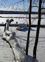 Image showing Boat in ice