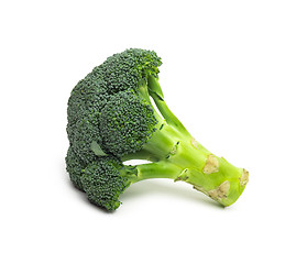 Image showing Broccoli isolated on white background