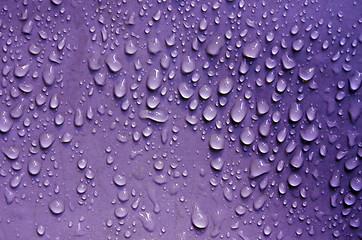 Image showing Water droplets