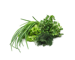 Image showing fresh green grass parsley dill onion herbs mix