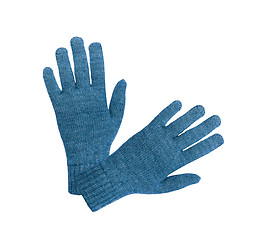 Image showing Blue gloves