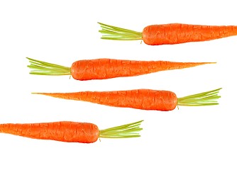 Image showing fresh carrots isolated