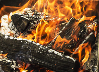 Image showing aflame wood in bonfire