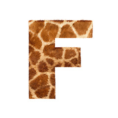 Image showing Letter from giraffe style fur alphabet. 