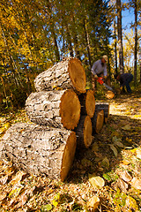 Image showing firewood