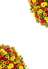 Image showing Frame of flowers on white background