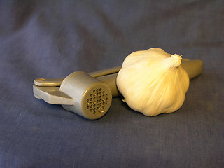 Image showing Garlic 3