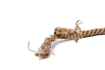 Image showing ship rope and knot 