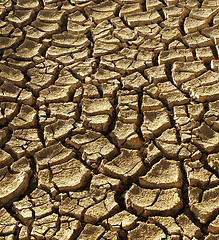 Image showing Background of dry cracked soil dirt or earth during drought