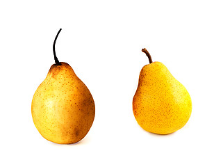 Image showing Ripe yellow pears