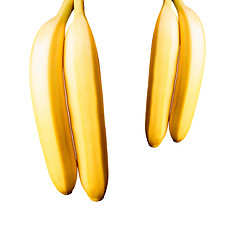 Image showing Two mature bananas