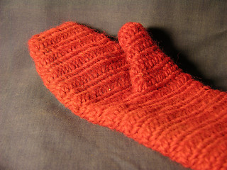 Image showing Mitten