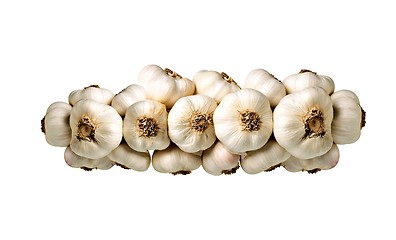 Image showing Bunch of garlic isolated