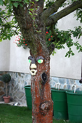 Image showing Funny Tree