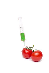 Image showing Gmo product concept: Tomato injection