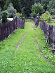 Image showing Mountain Grassy Path