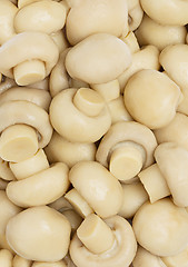 Image showing Mushrooms seamless background.