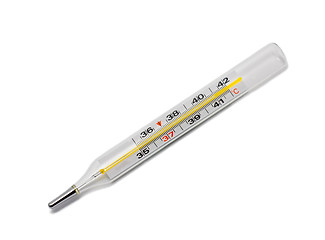 Image showing Thermometer isolated on the white background