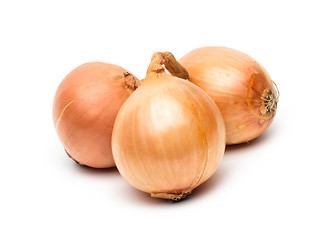 Image showing Ripe onion on a white background