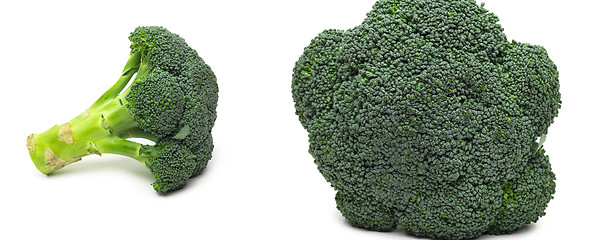 Image showing Broccoli isolated on white background