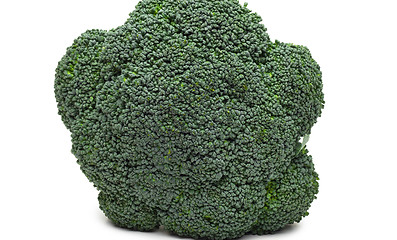 Image showing Broccoli isolated on white background