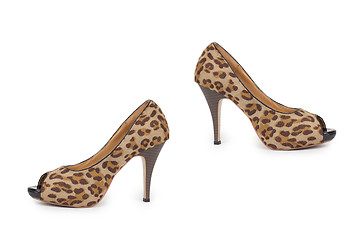 Image showing ladies shoes leopard on a white background