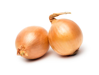 Image showing Ripe onion on a white background