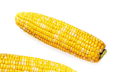 Image showing Fresh raw corn cobs isolated on the white