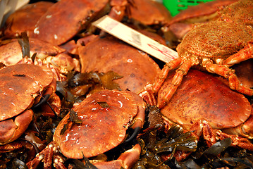 Image showing Crabs