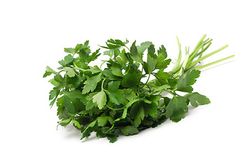 Image showing fresh green grass parsley dill onion herbs mix