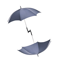 Image showing Black umbrellas