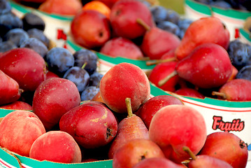 Image showing Fruits for sale