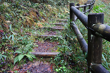 Image showing Wooden trunk steps in autumn forest